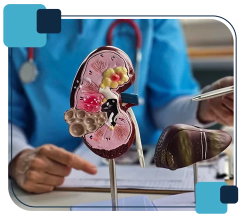 What are Urology Medical Billing Services in the USA